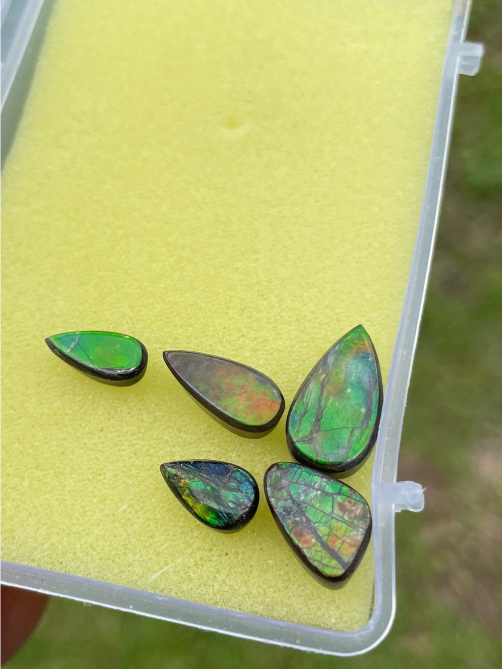 Ammolite Lot